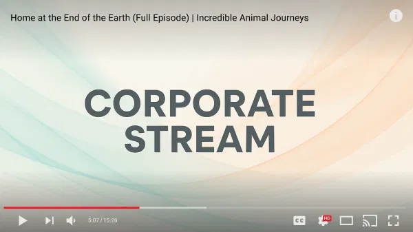 Youtube preview
